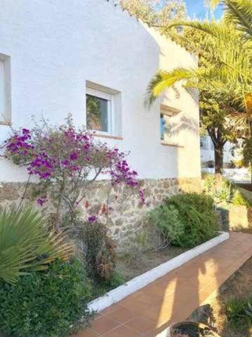Amplio Apartamento Con Jardin En Almadrava 罗萨斯 外观 照片